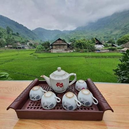 Organic Farm Homestay 사파 외부 사진