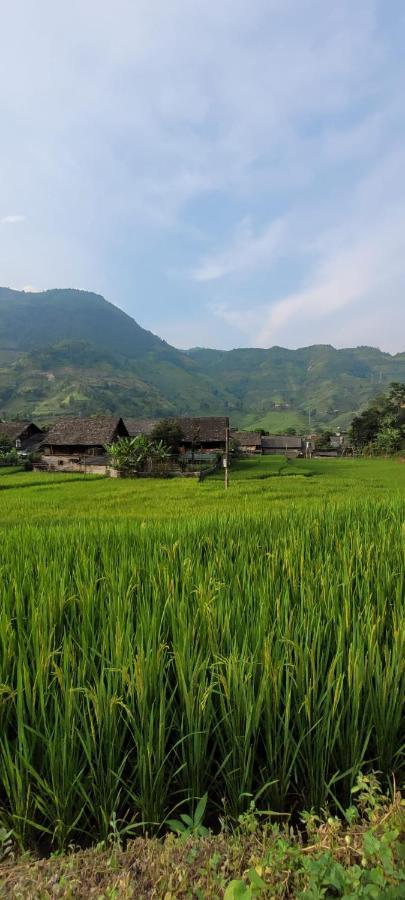 Organic Farm Homestay 사파 외부 사진