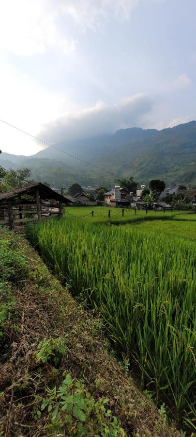 Organic Farm Homestay 사파 외부 사진