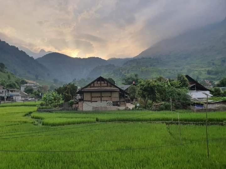 Organic Farm Homestay 사파 외부 사진